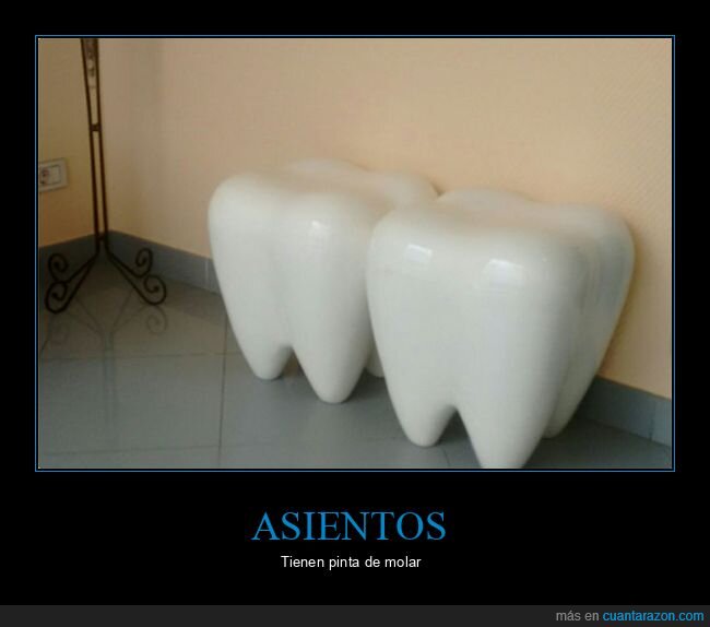 asientos,molar,muelas