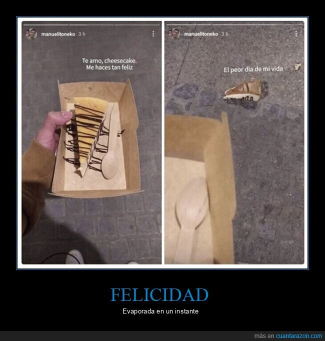 cheesecake,fails,pastel