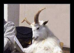 Enlace a Conocimiento y maldad