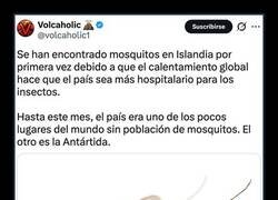 Enlace a Los mosquitos llegan a Islandia