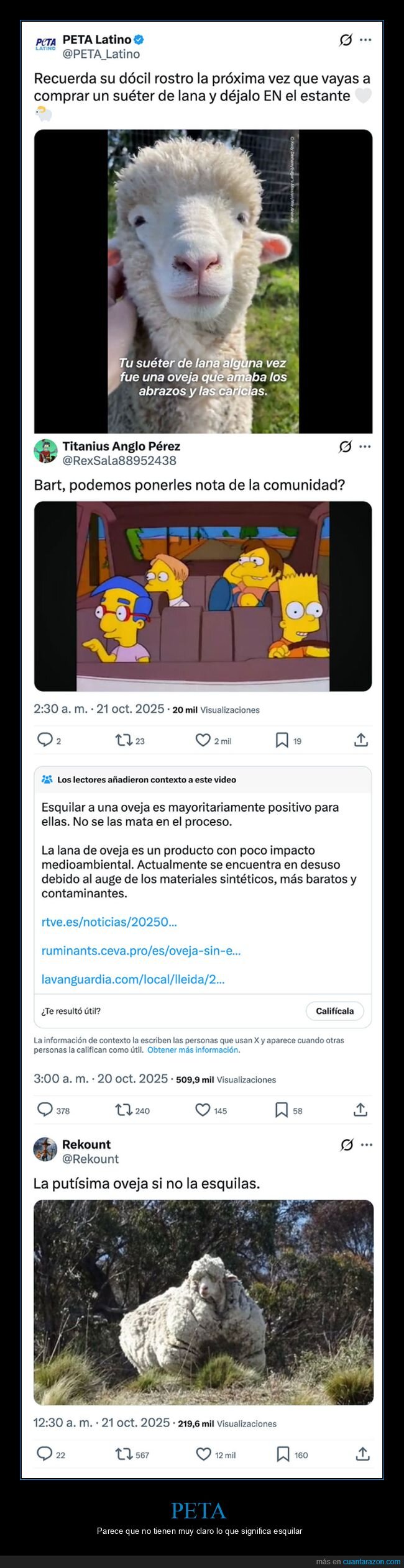 esquilar,lana,ovejas,peta