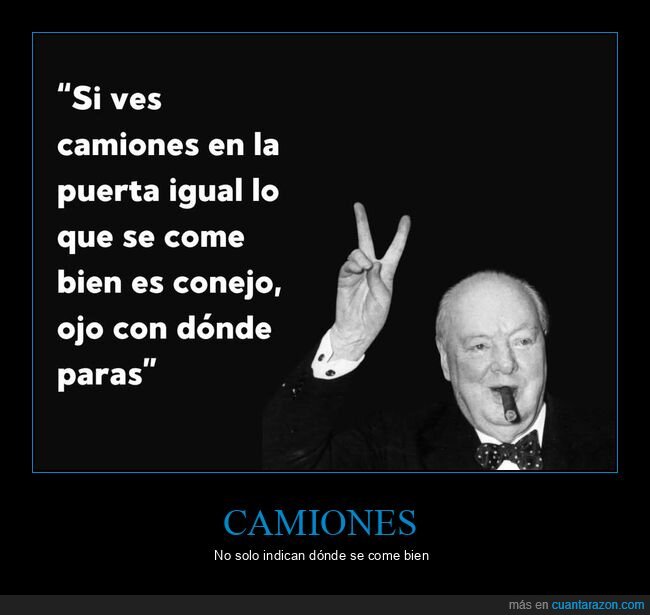 camiones,comer,conejo