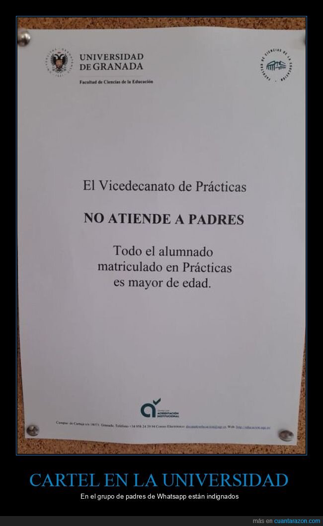 carteles,universidad,padres