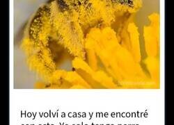 Enlace a Encantadores memes de animales para no pensar en el estado actual del mundo