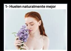 Enlace a Cosas curiosas que no se suelen contar sobre los pelirrojos