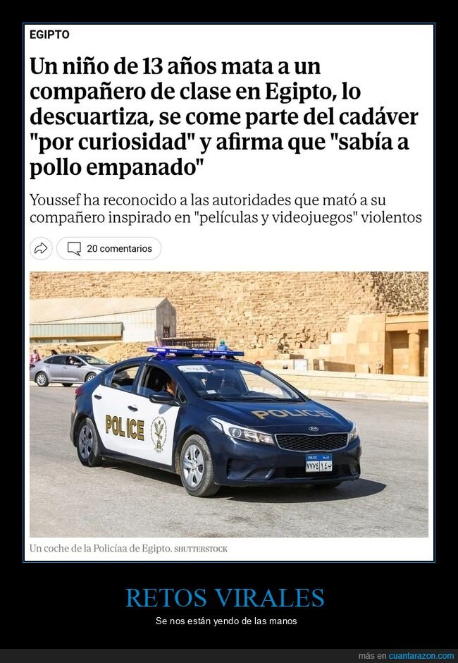 niño,compañero,comer,curiosidad