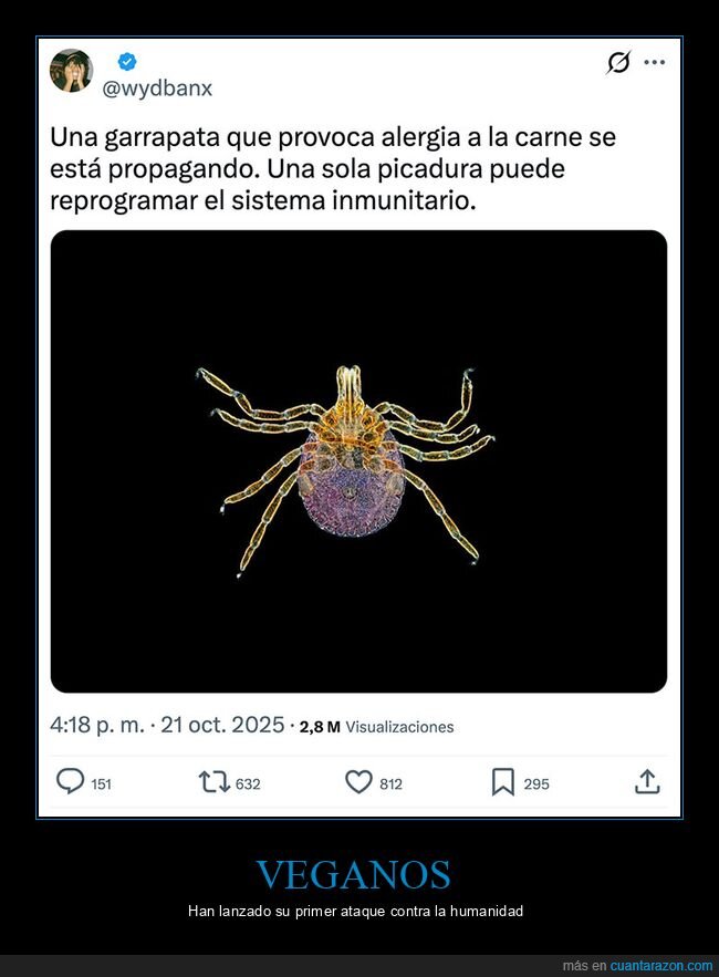 alergia,carne,garrapata