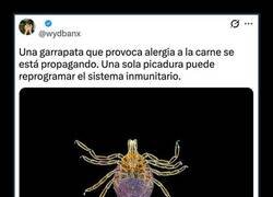 Enlace a La garrapata que te vuelve vegano