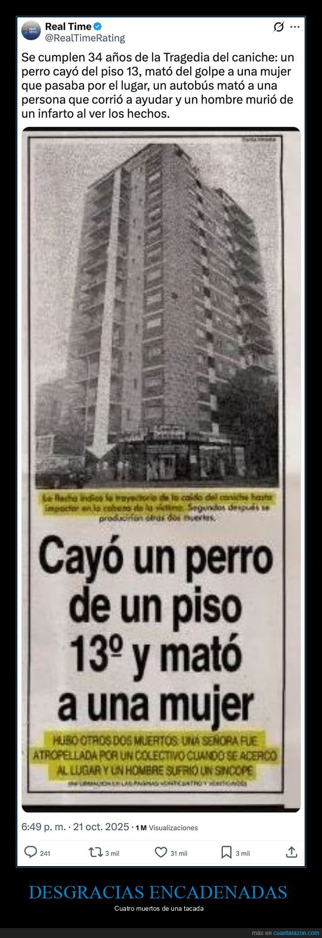 autobús,edificio,infarto,perros,wtf