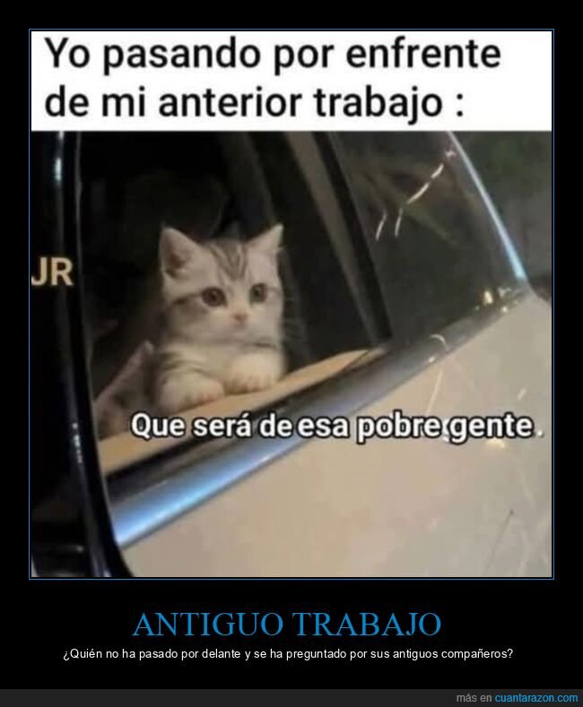 trabajo,preguntarse,compa&ntilde;eros