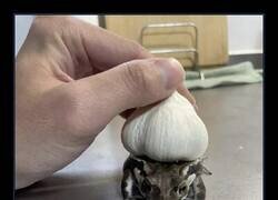 Enlace a Un Pokemon en la vida real