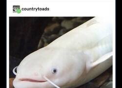 Enlace a De las mejores frases que probablemente nadie había pensado antes