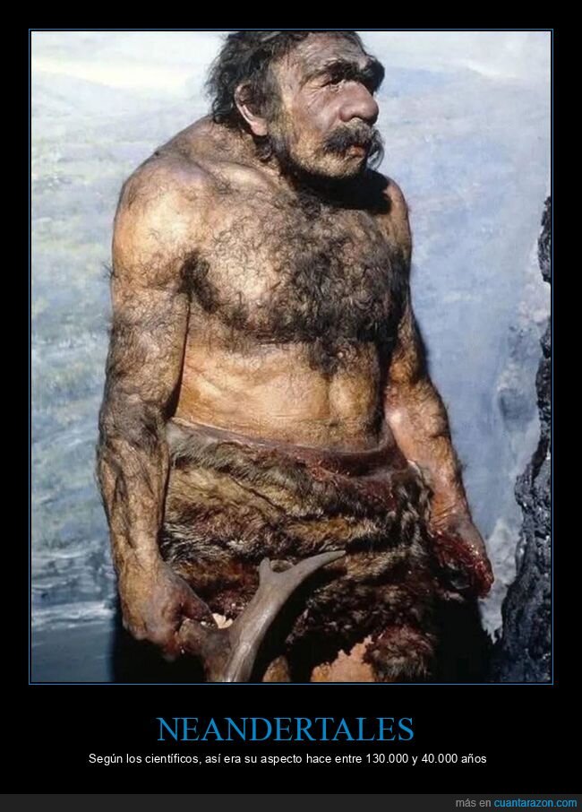 aspecto,curiosidades,neandertal