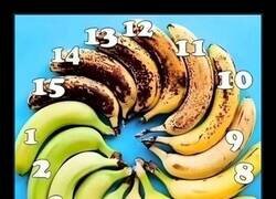 Enlace a Escoge tu favorito