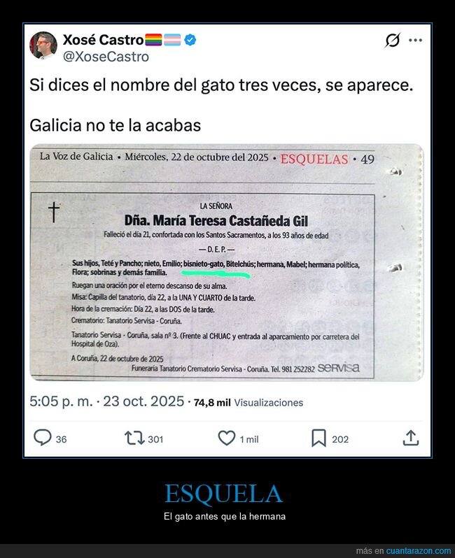 esquela,gatos,wtf