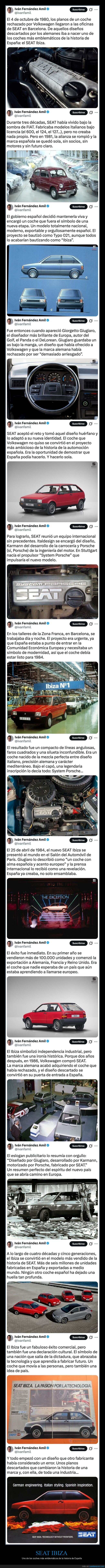 seat ibiza,coche