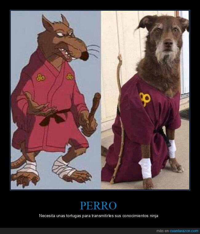 disfraz,perros,splinter,tortugas ninja