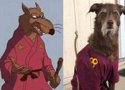 Enlace a Cuando tu perro es un maestro ninja