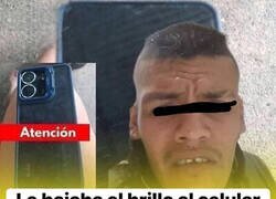 Enlace a Tiburón de los negocios