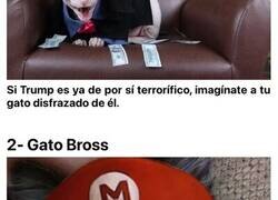 Enlace a Los disfraces de gatos más terroríficos y originales para Halloween