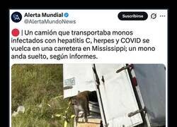 Enlace a Esto pinta feo...