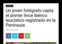 Enlace a Un ejemplar único