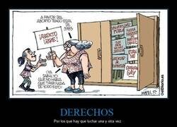 Enlace a Todo vuelve