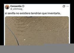 Enlace a No todos los días se puede remar por la ciudad...