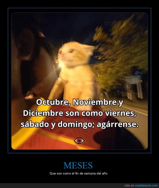 octubre,noviembre,diciembre,viernes,sábado,domingo