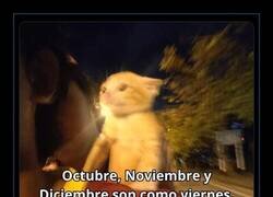 Enlace a Agárrense que vienen curvas