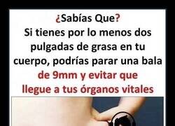 Enlace a La grasa proporciona seguridad