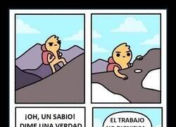 Enlace a Una verdad del universo