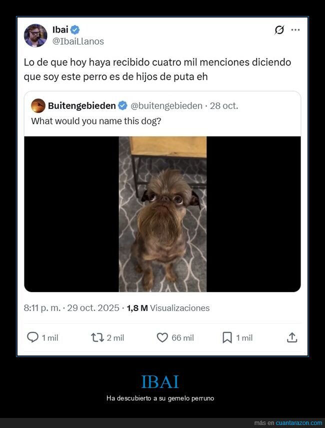 ibai,perro,parecidos