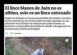 Enlace a Solo está estresado...