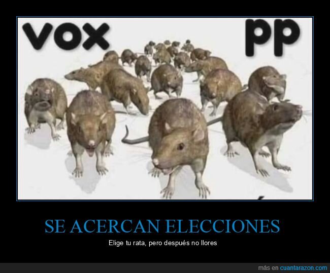 pp,vox