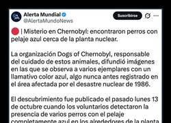 Enlace a Los perros azules de Chernobyl