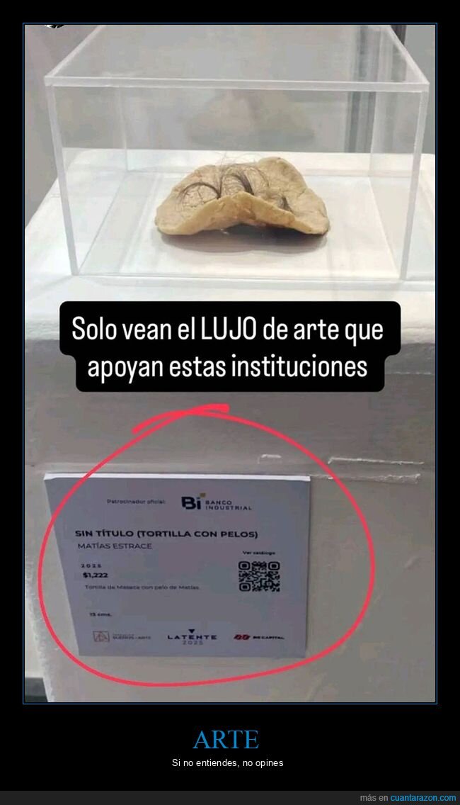 arte,pelos,tortilla,wtf