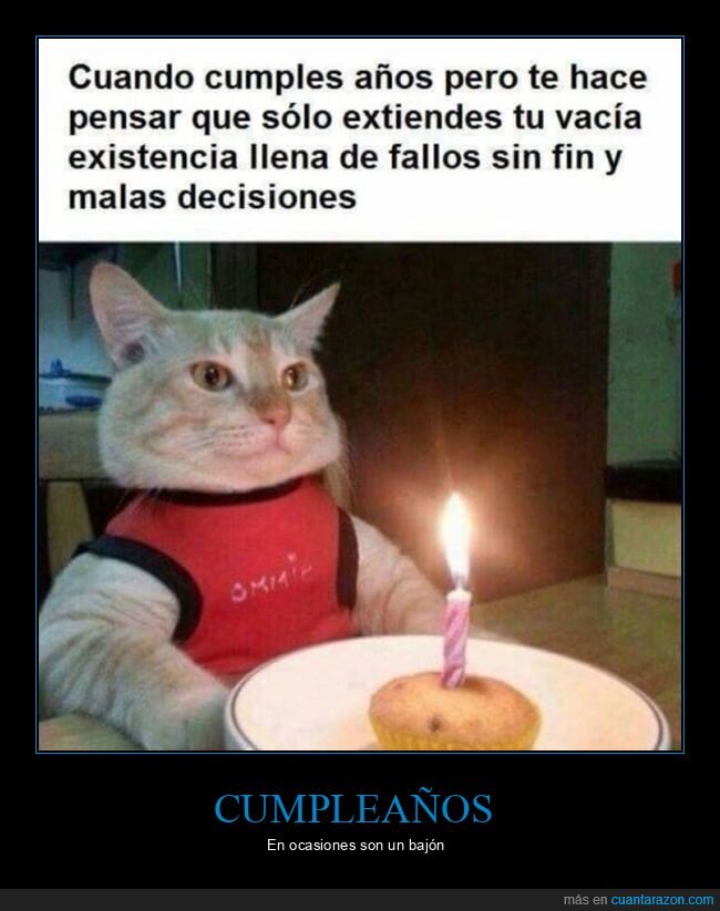cumpleaños,existencia,gatos,malas decisiones