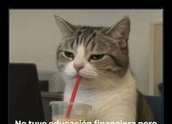 Enlace a Haciendo lo que se puede con la educación recibida