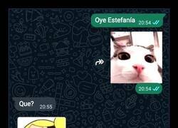 Enlace a Las vueltas de la vida