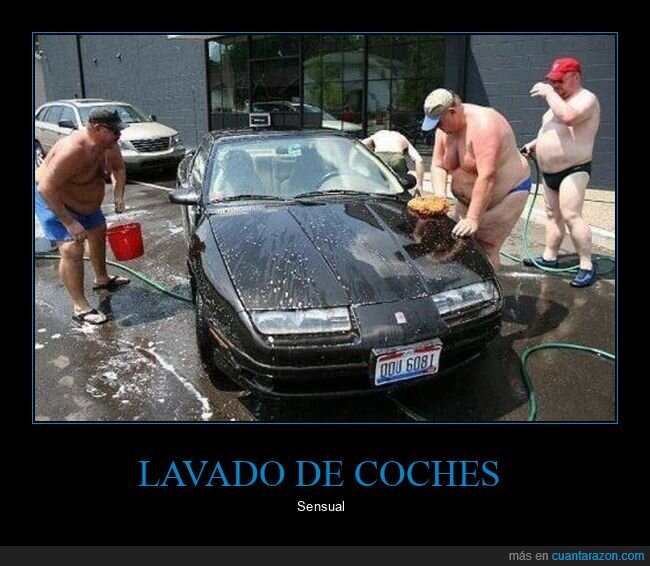 coches,gordos,lavando,wtf