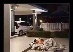 Enlace a El placer de ganar la discusión