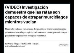 Enlace a Pillándolos al vuelo