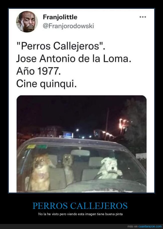 perros callejeros,cine quinqui,perros,coche