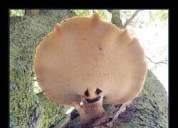 Enlace a Este tipo tiene una misión secundaria