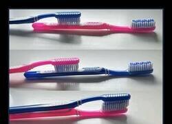 Enlace a Escena romántica