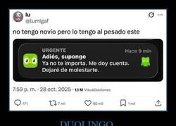 Enlace a Búho tóxico