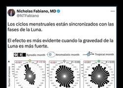 Enlace a Desincronización menstrual