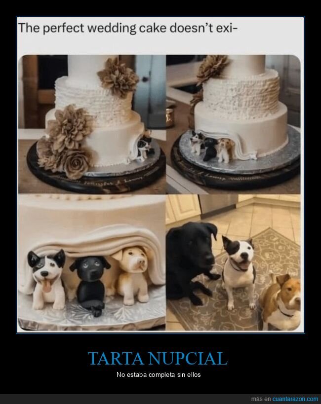 tarta,boda,perros