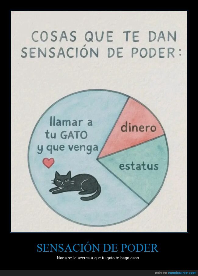 sensación,poder,gato,gráficas